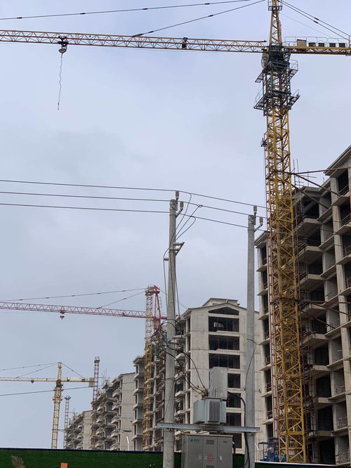 案例分析 裕鴻公司拖欠工程機械 塔吊 租賃費哪個部門管