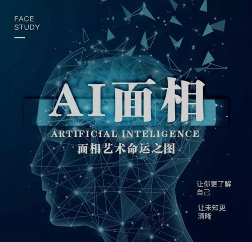 玄學(xué)項(xiàng)目軟件開發(fā) 預(yù)測(cè)人生軌跡，套路財(cái)富人生的虛幻陷阱